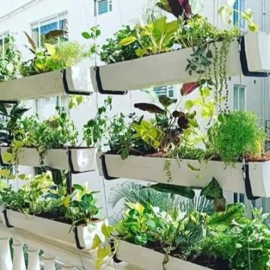 Balcony Garden